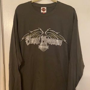 Man , long sleeve shirt, Harley-Davidson, grey, XL